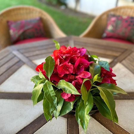 Ellegance By Check-In Portugal Villa Виламура Екстериор снимка