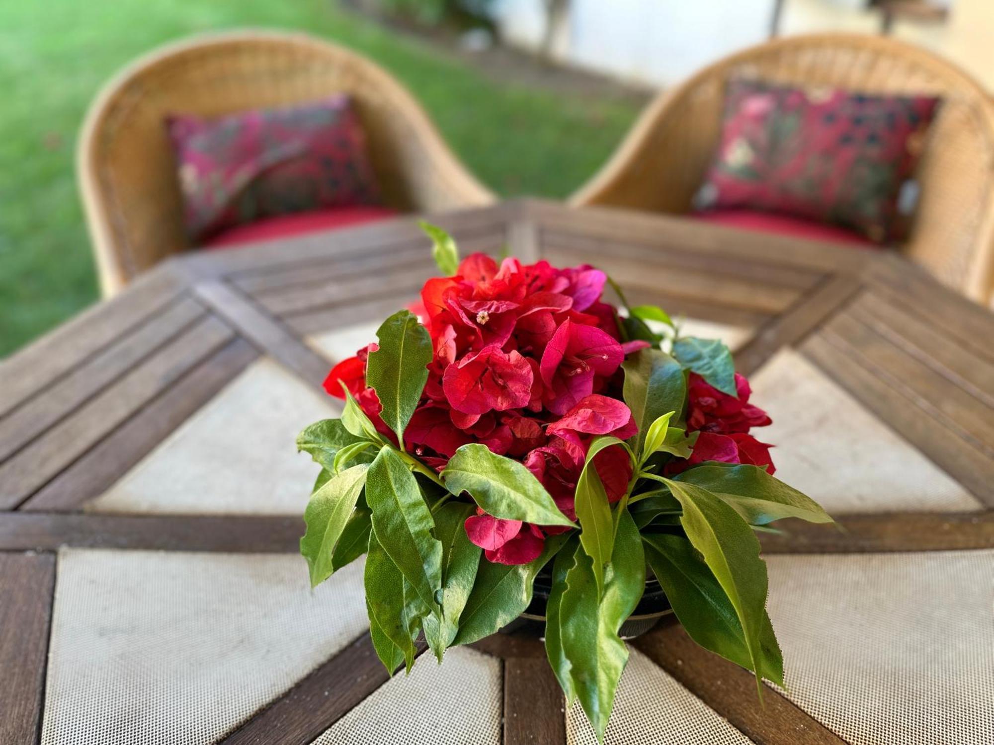 Ellegance By Check-In Portugal Villa Виламура Екстериор снимка